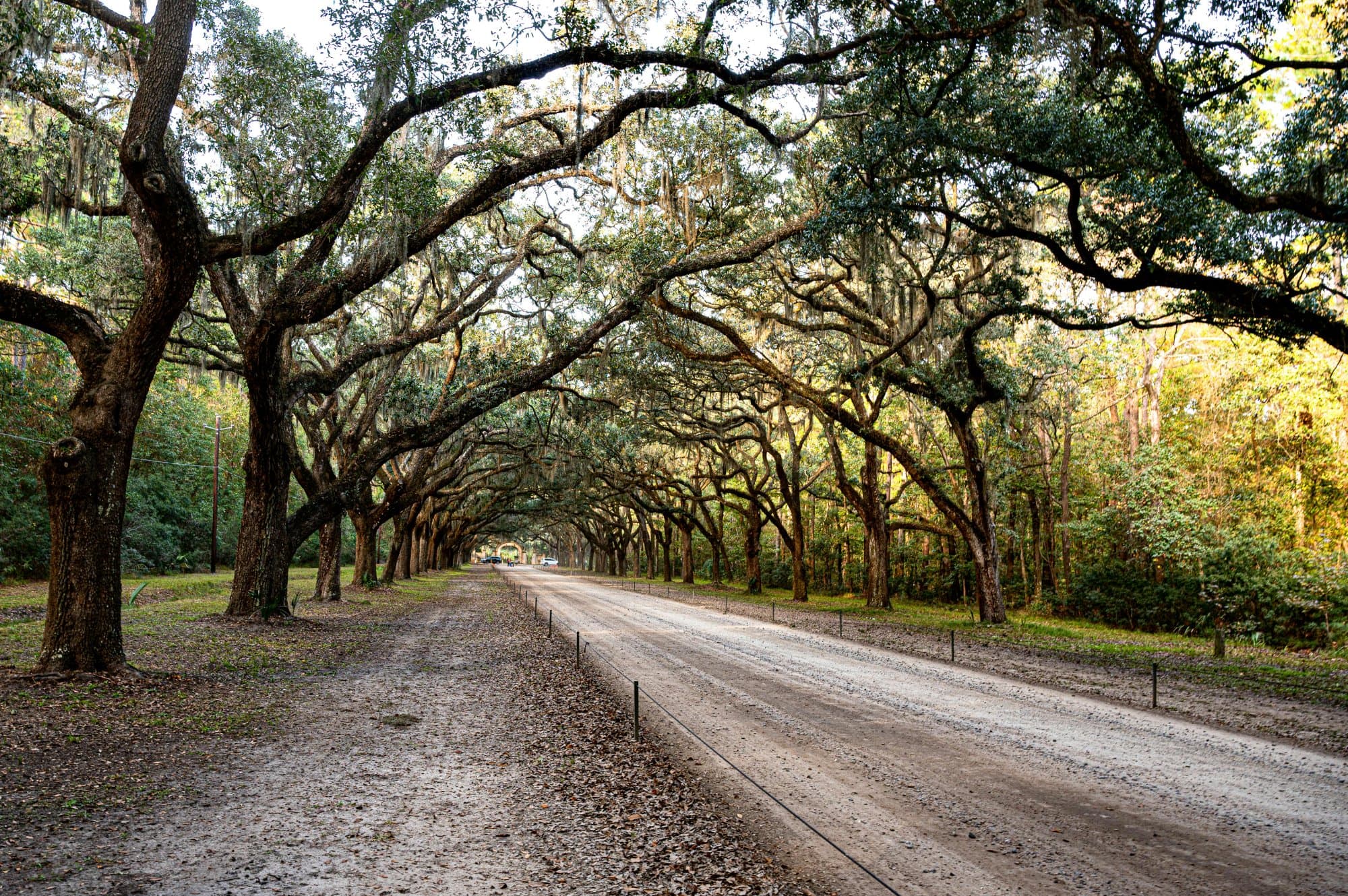Scenic view of Georgia