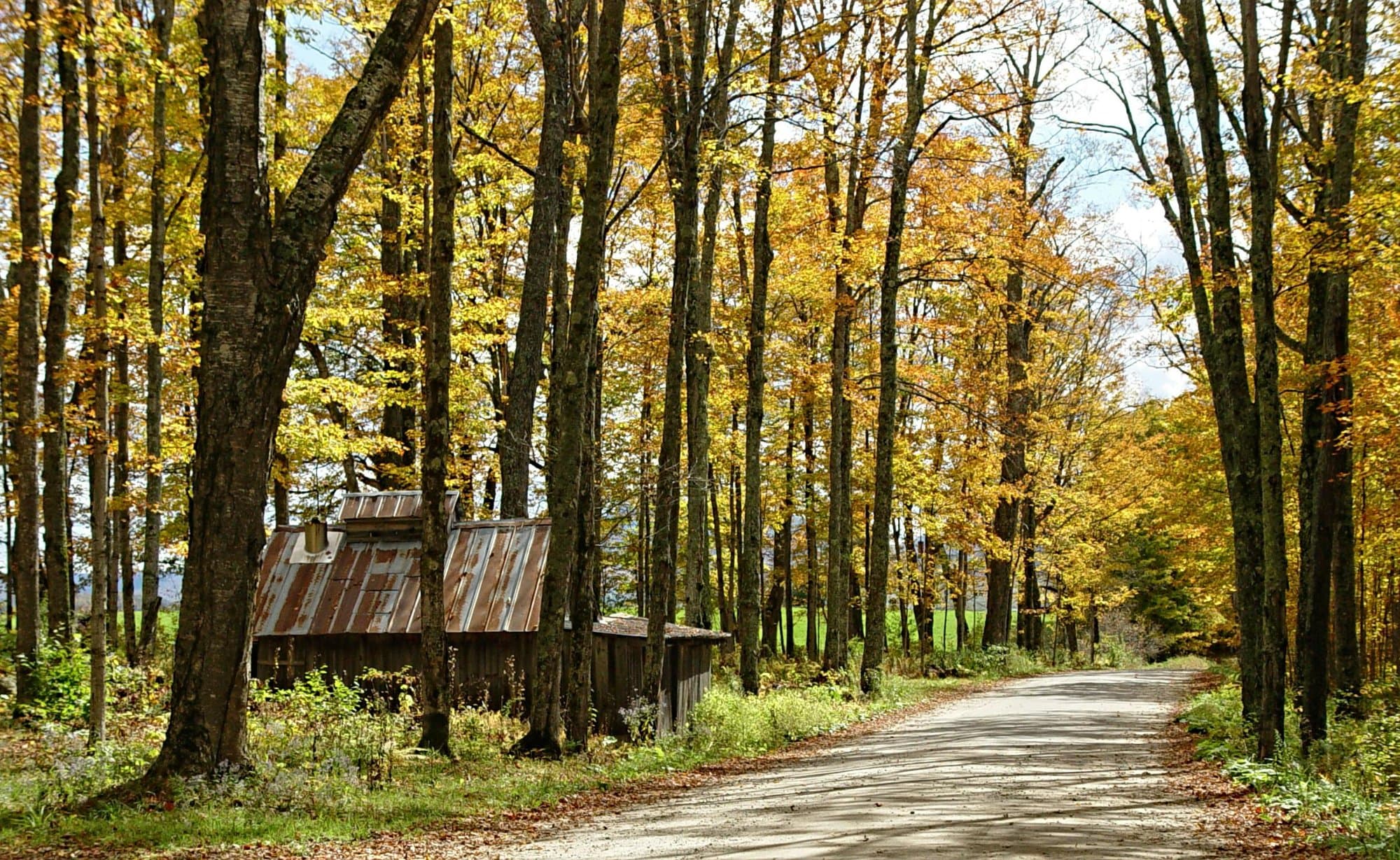 Scenic view of Vermont