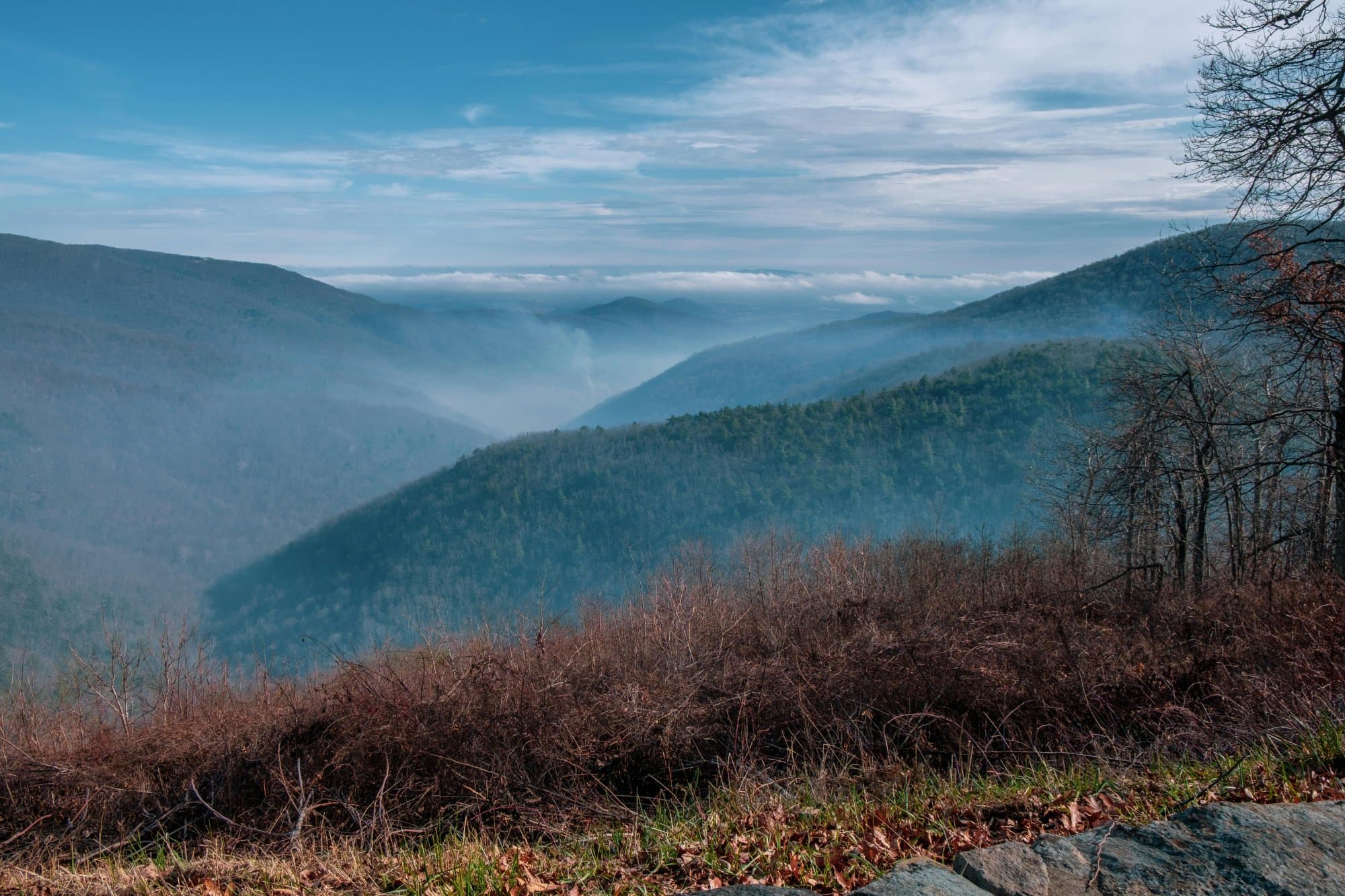 Scenic view of Virginia